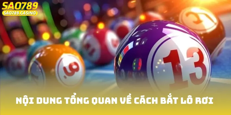 Cách Bắt Lô Rơi Chuẩn 2025 - Bí Kíp Từ Cao Thủ Làng Bạc 2 Tổng quan những nội dung quan trọng về cách bắt lô rơi