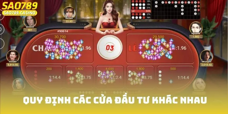 Quy định các cửa đầu tư khác nhau